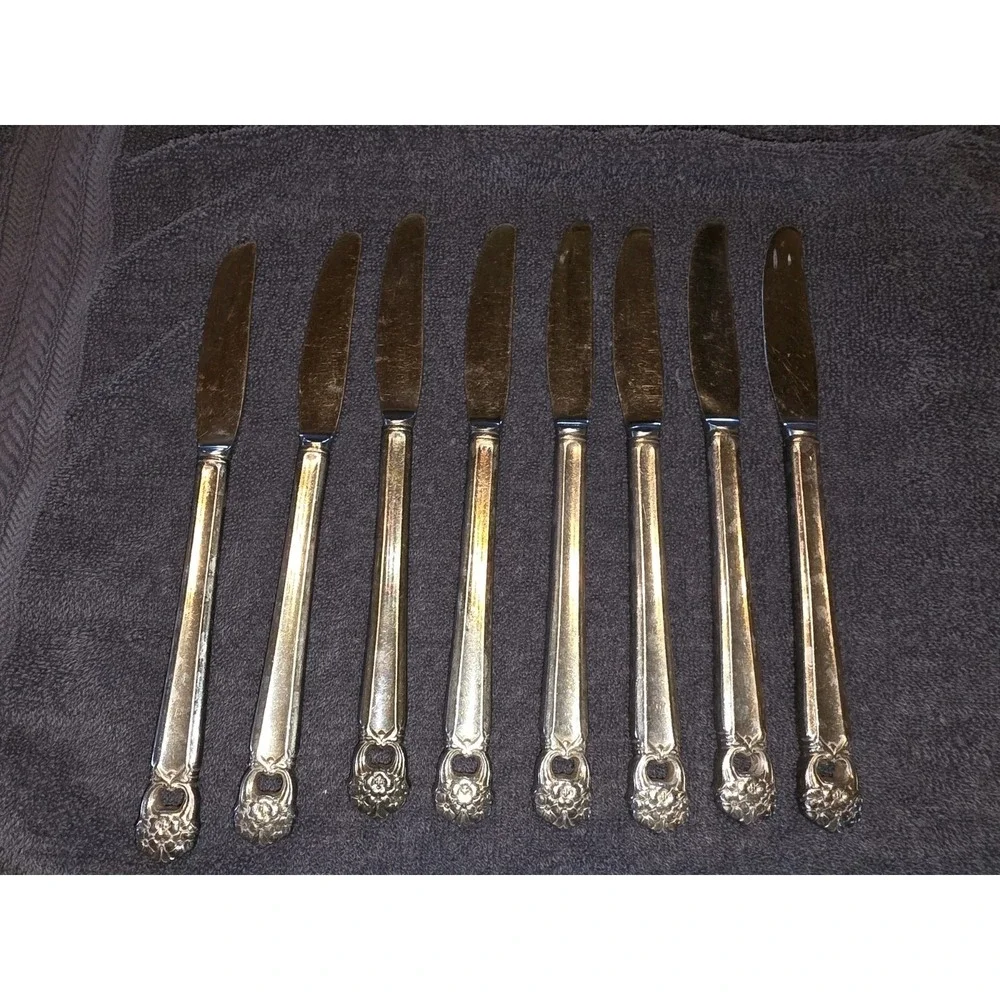 Silver plate 1847 Rogers Bros Eternally Yours 50 Pc Set Butter Knife Sugar Spoon